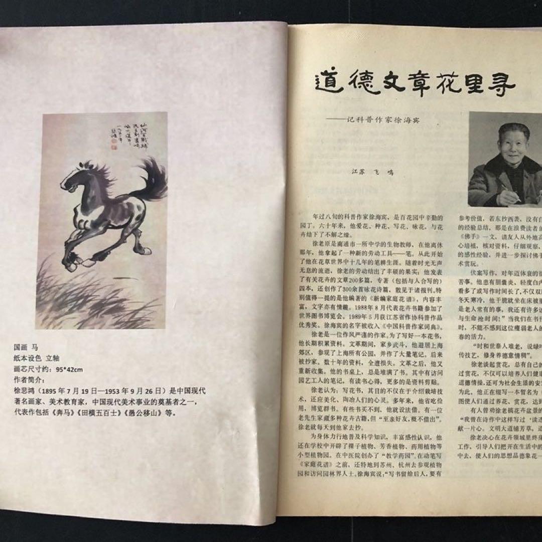 中国美術 掛け軸 徐悲鸿風 馬図 手描き 水墨画 三尺 雑誌付き 床の間