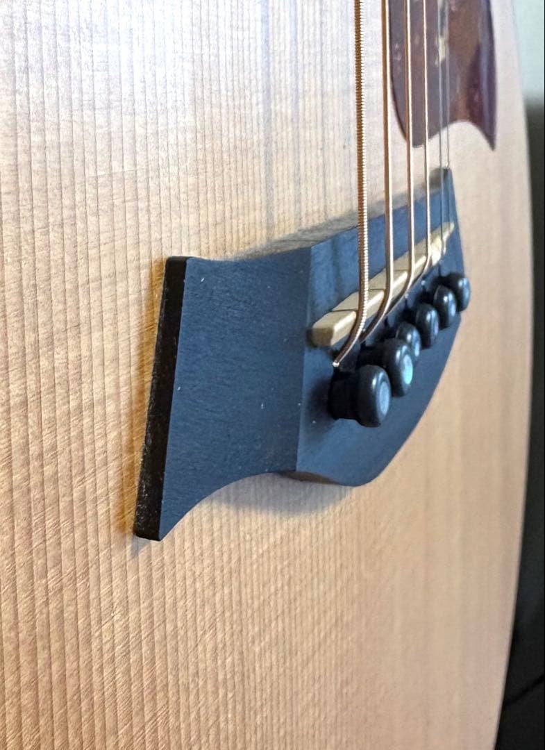 Taylor GS mini アコギ 人気モデル 美品 ソフトケース付