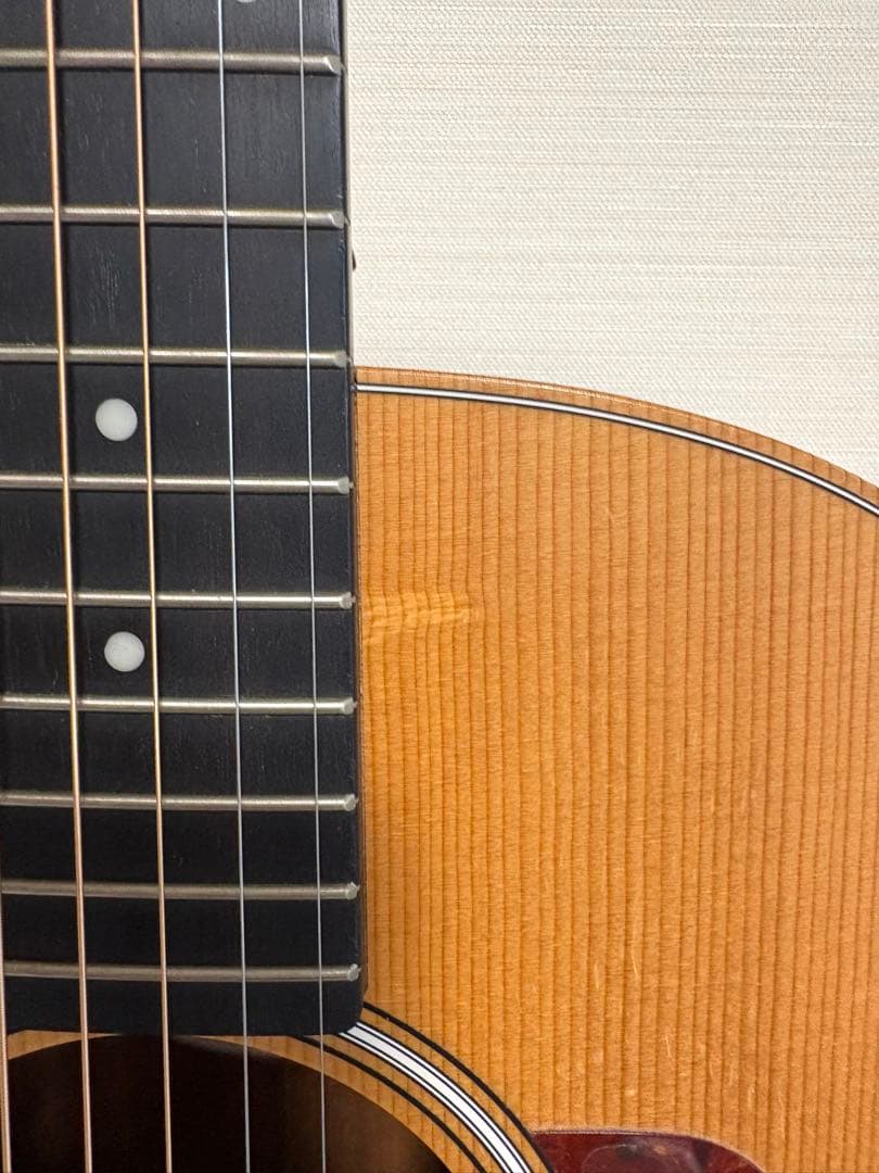 Taylor GS mini アコギ 人気モデル 美品 ソフトケース付
