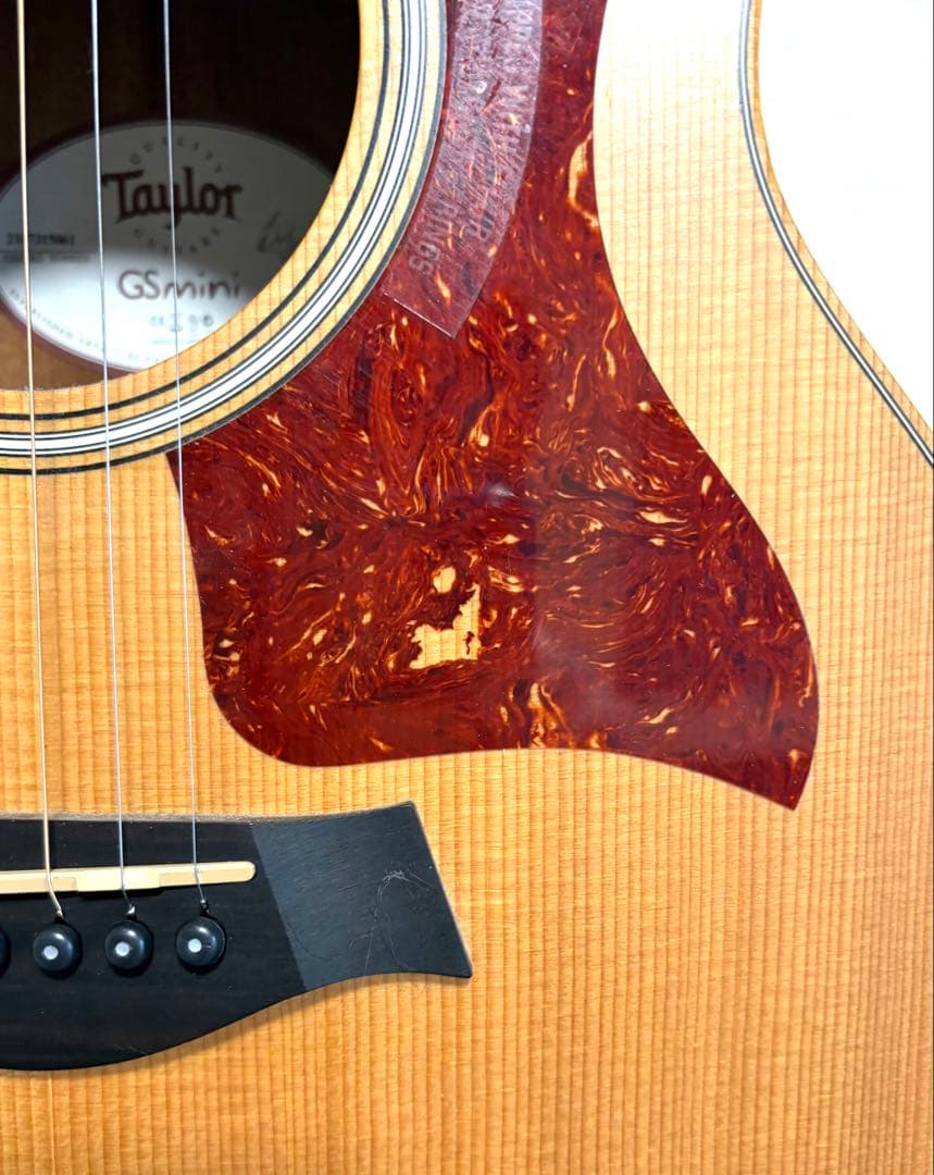 Taylor GS mini アコギ 人気モデル 美品 ソフトケース付