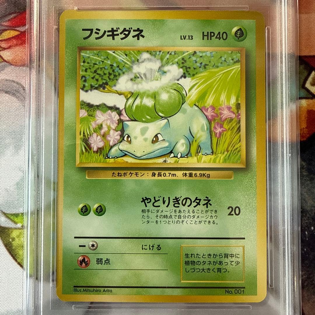 【PSA8/ARS9】旧裏 フシギダネ エリカのフシギバナ マーク無し ポケカ