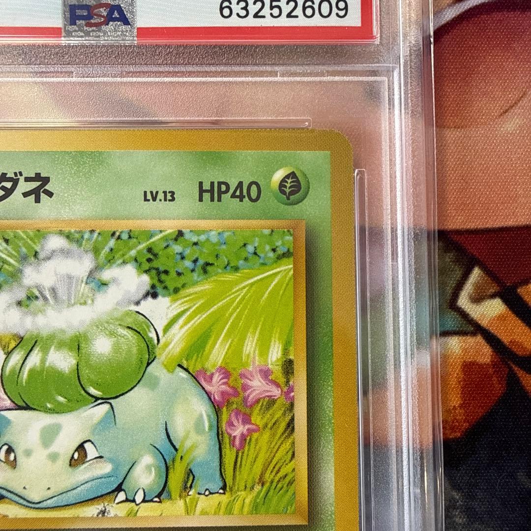 【PSA8/ARS9】旧裏 フシギダネ エリカのフシギバナ マーク無し ポケカ