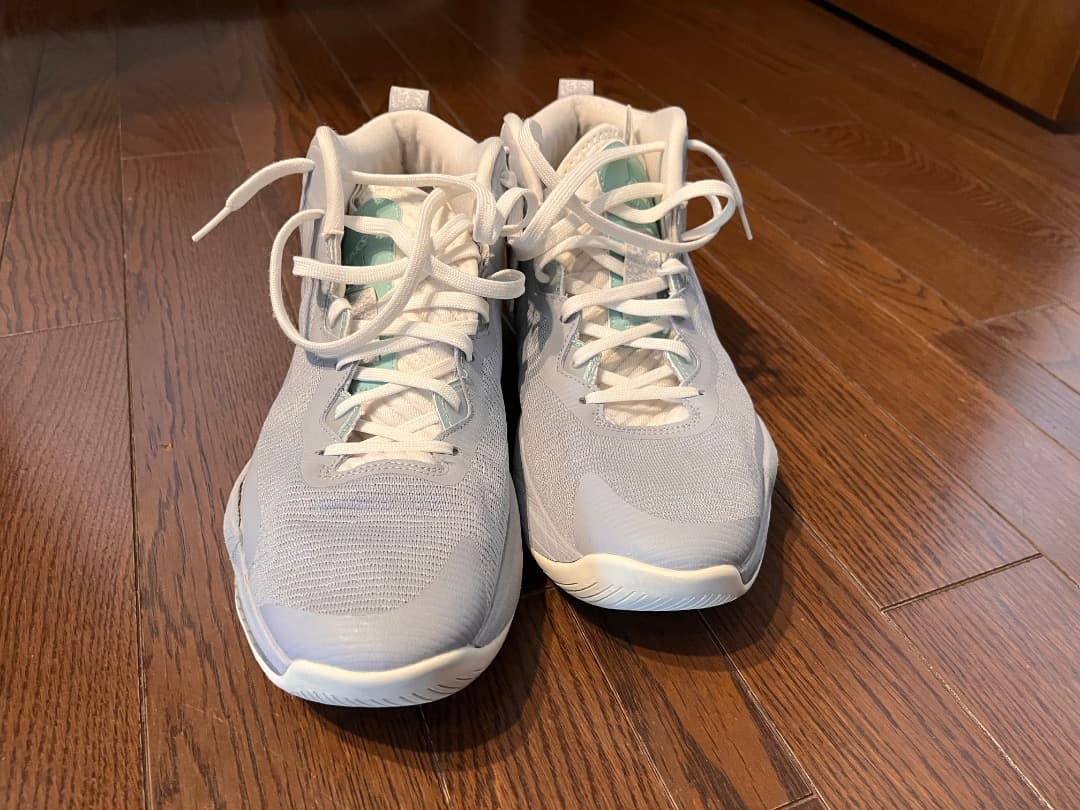キム様　ASICS NOVA SURGE3 29.5cm バッシュ