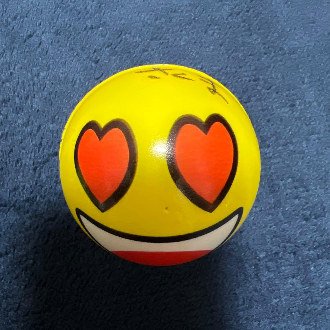 メロガッパ サインフリスビーとボール もり　さくま