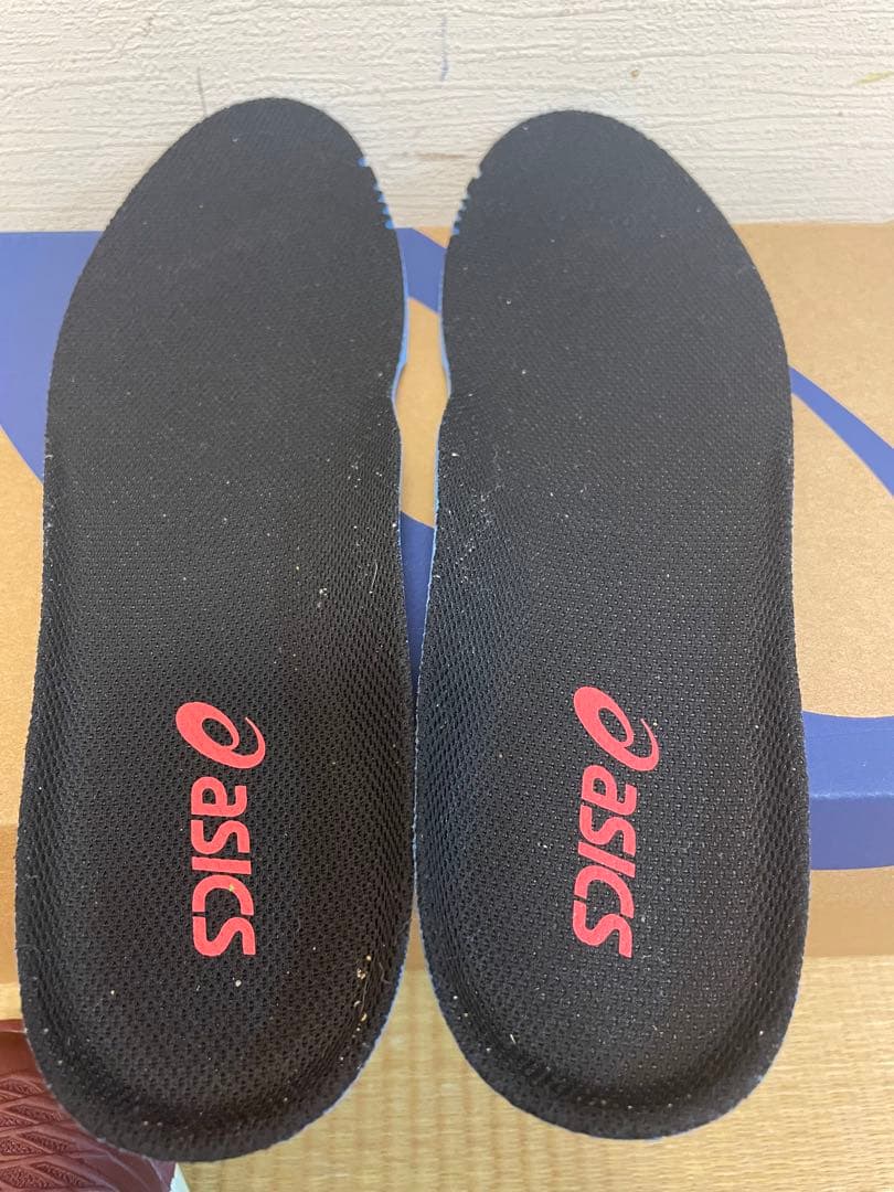 ASICS SOLUTION SPEED FF2 OC テニスシューズ　オムニ用