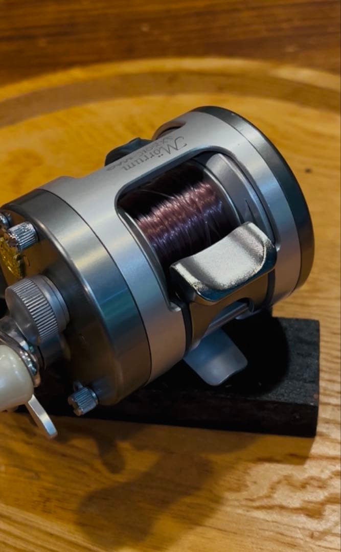 アブガルシア Abu Garcia Morrum モラム SX3601 mag
