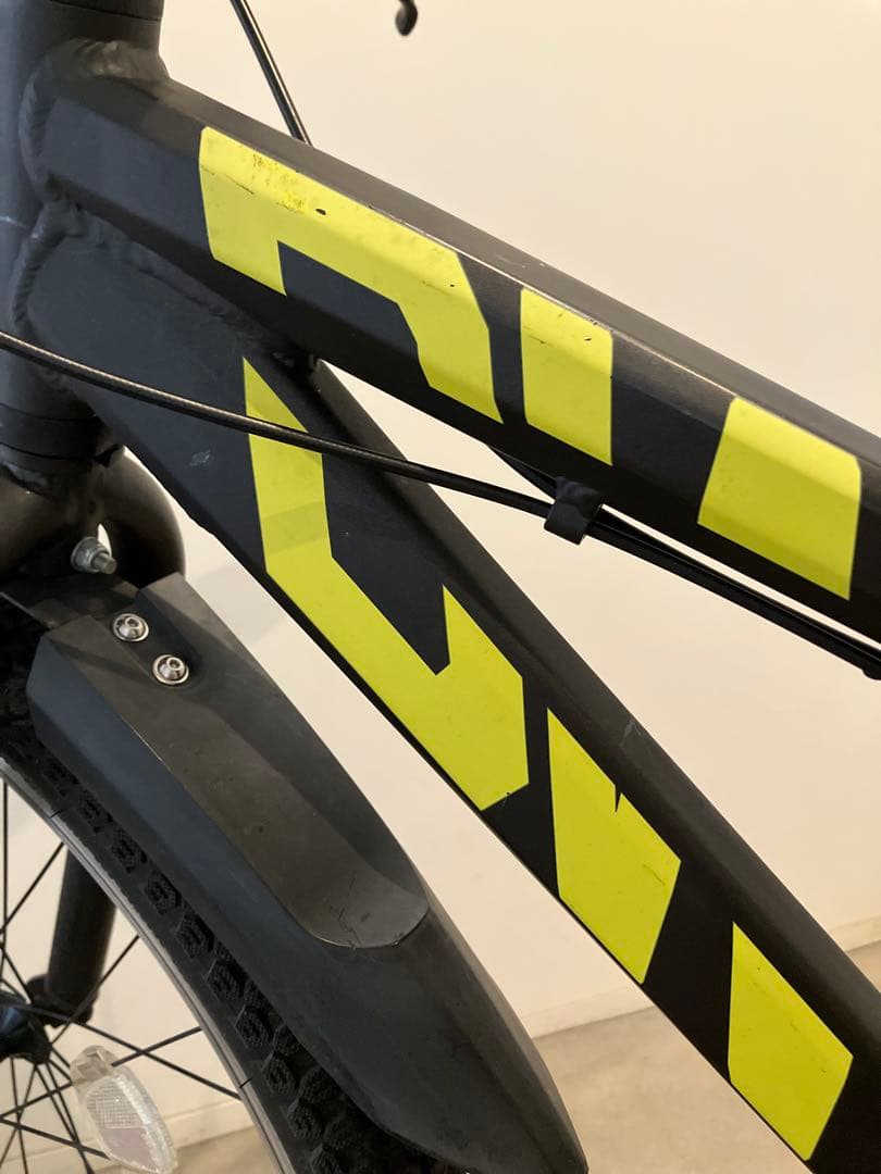 BRIDGESTONE BWX STREET 24 インチ