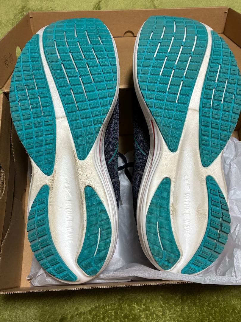 Mizuno WAVERIDER29 【27.0cm】