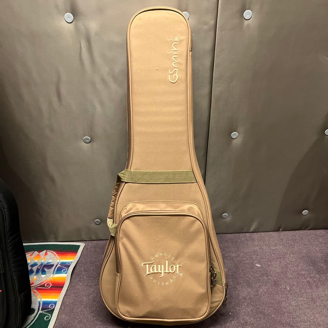 Taylor/GS Mini Mahogany/ミニアコ