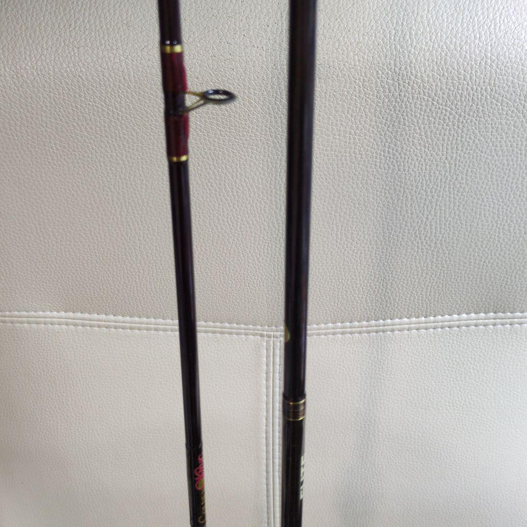 Fenwick Golden Wing & FVR Elite ベイト2本セット