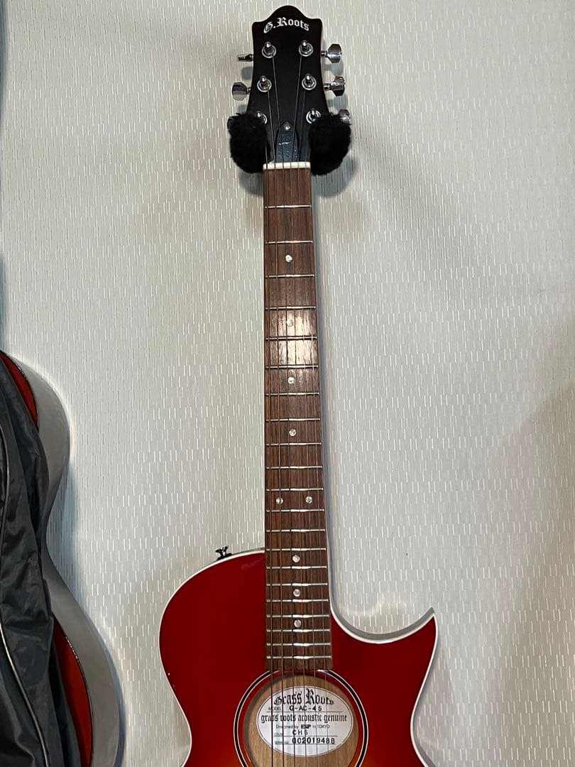 初心者向けアコギ！ボディが小型・弦交換済みで即使えます。ソフトケース付きます。