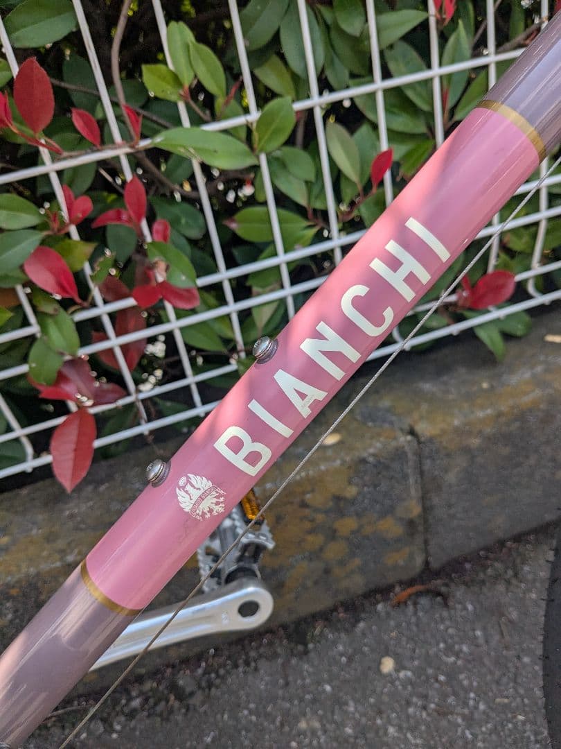 スケアリー様向け　Bianchi （ビアンキ）Merlo ミニベロ