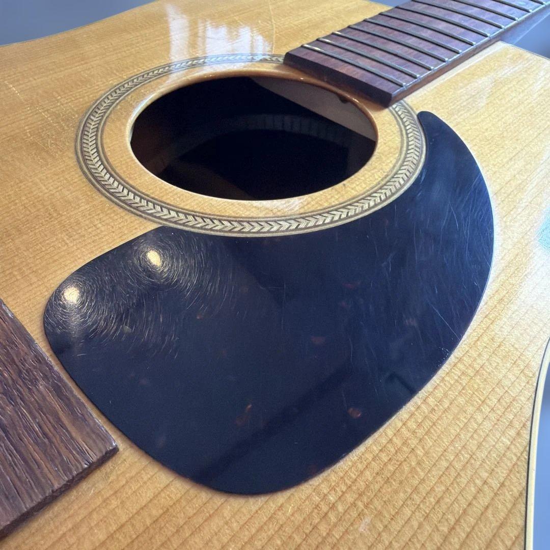 12弦ギター カナダ シーガル Seagull Guitars
