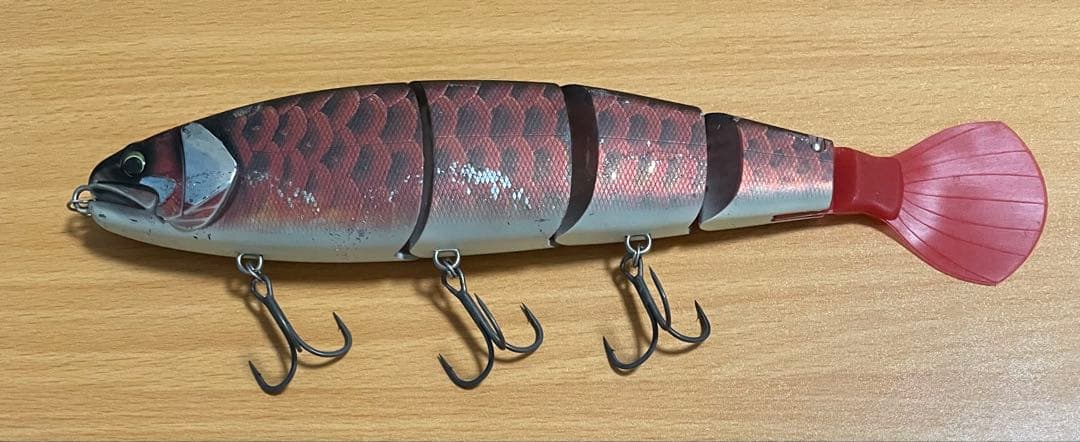 早い者勝ち！超激レア！ バラム300 限定レッドアロワナ