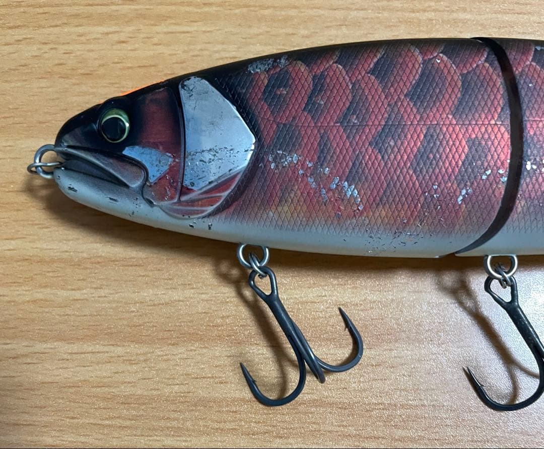 早い者勝ち！超激レア！ バラム300 限定レッドアロワナ