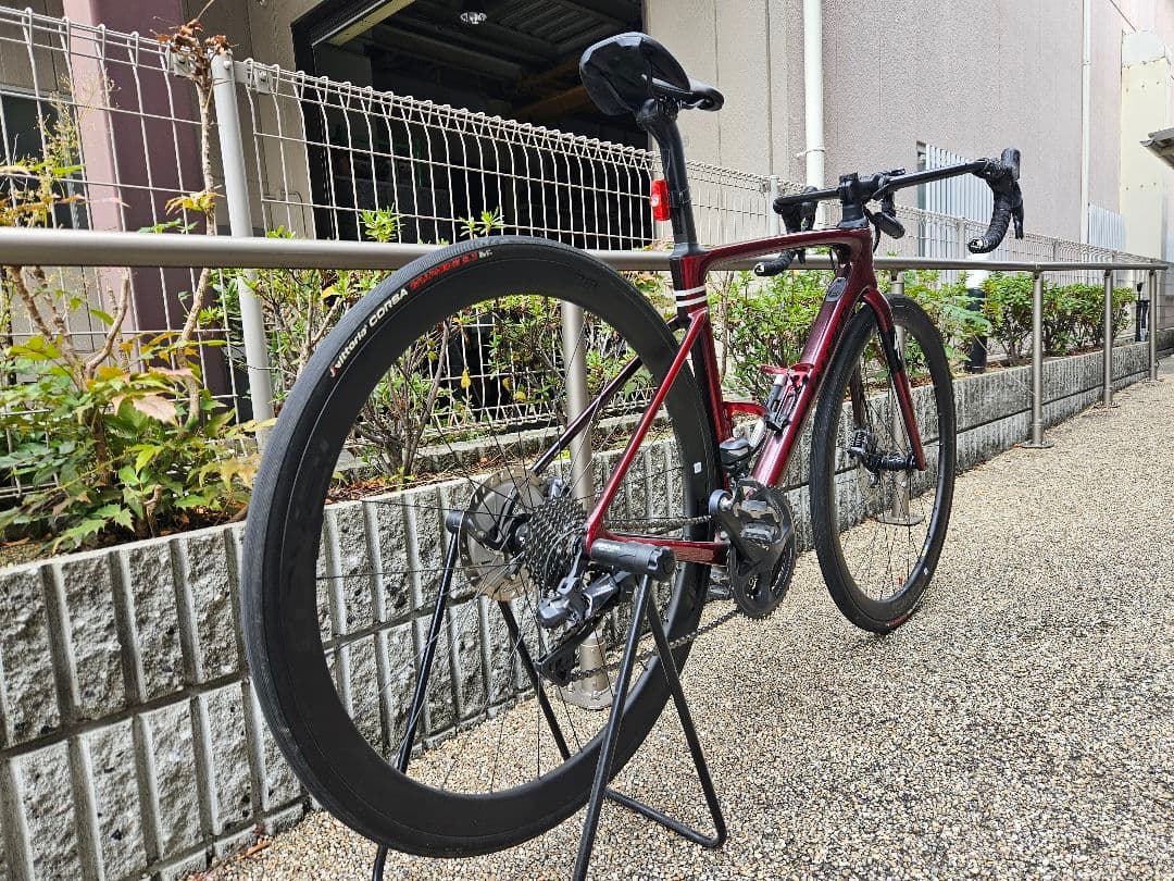 SPECIALIZED Roubaix Expert(サイズ52)