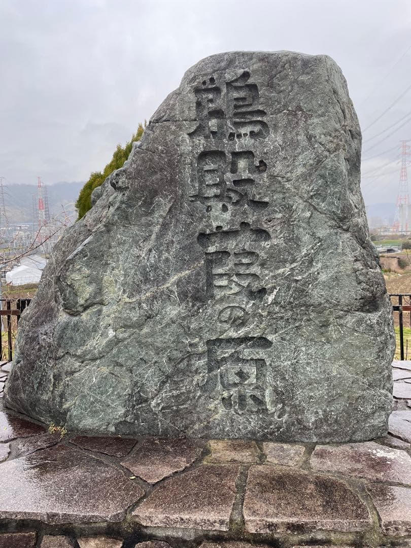 篳篥用蘆舌／最高級品《極》