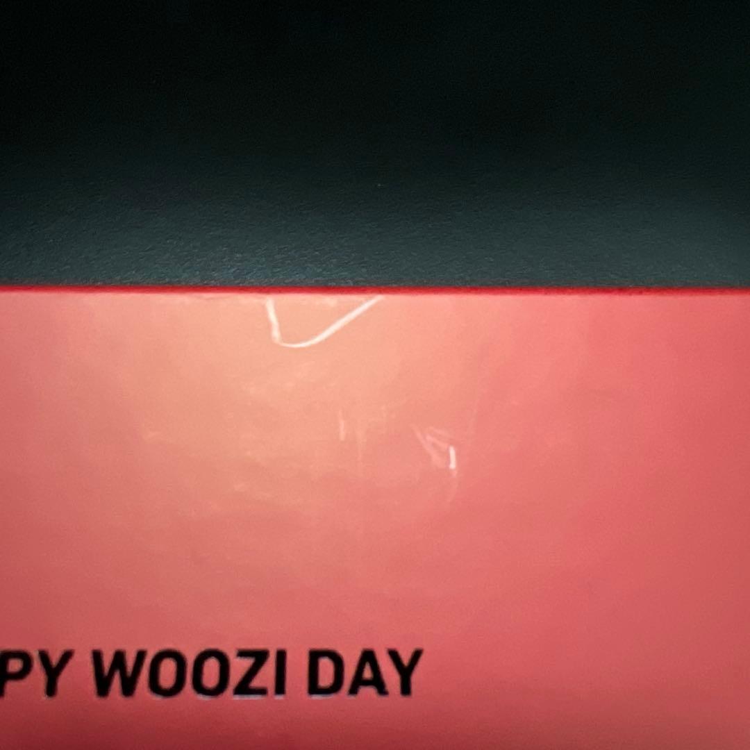 SEVENTEEN セブチ HAPPY WOOZI DAY サングラス ウジ