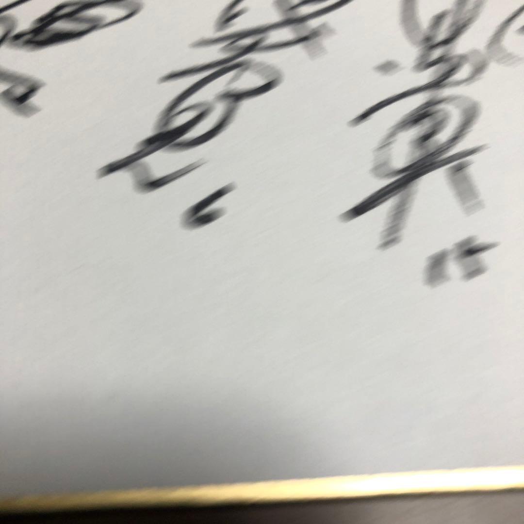 火の鳥NIPPON 直筆サイン色紙