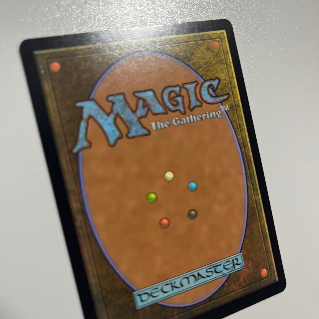 MAGIC The Gathering MTG 神聖なる泉 404 FOIL