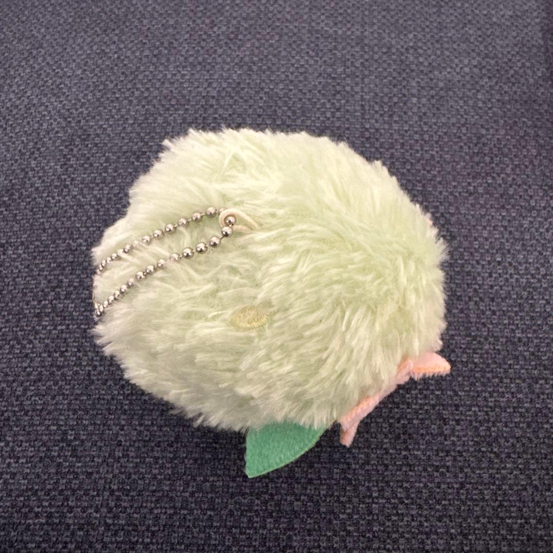 ポケモン へんしん！メタモン シェイミ マスコット
