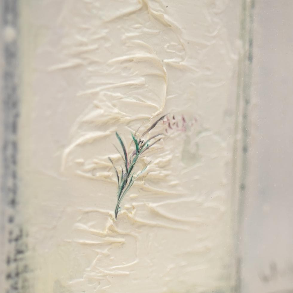 片山弘明 薔薇 額装 油彩 F0