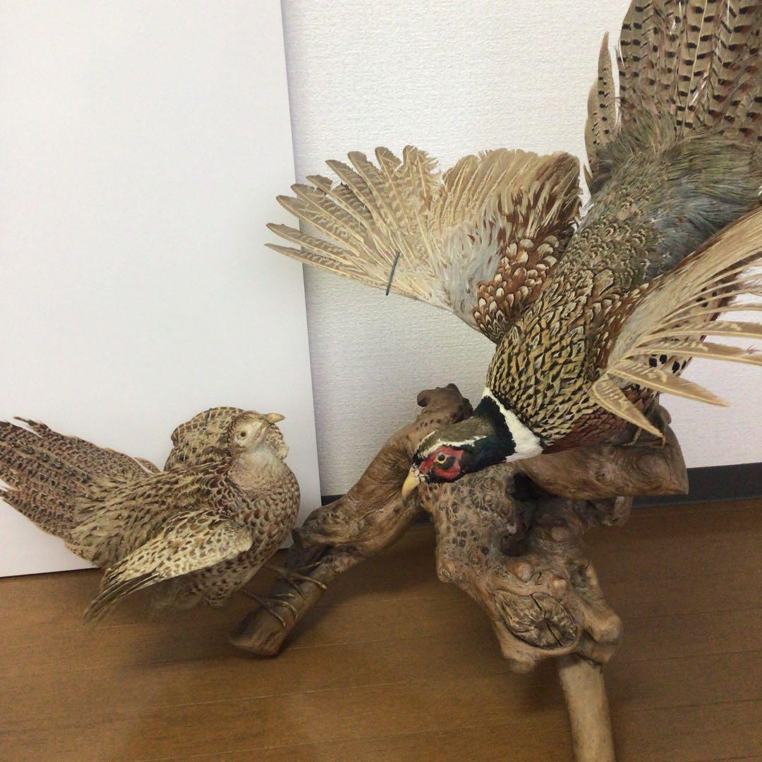 NO.288 飛翔する雉の置物 雄、雌