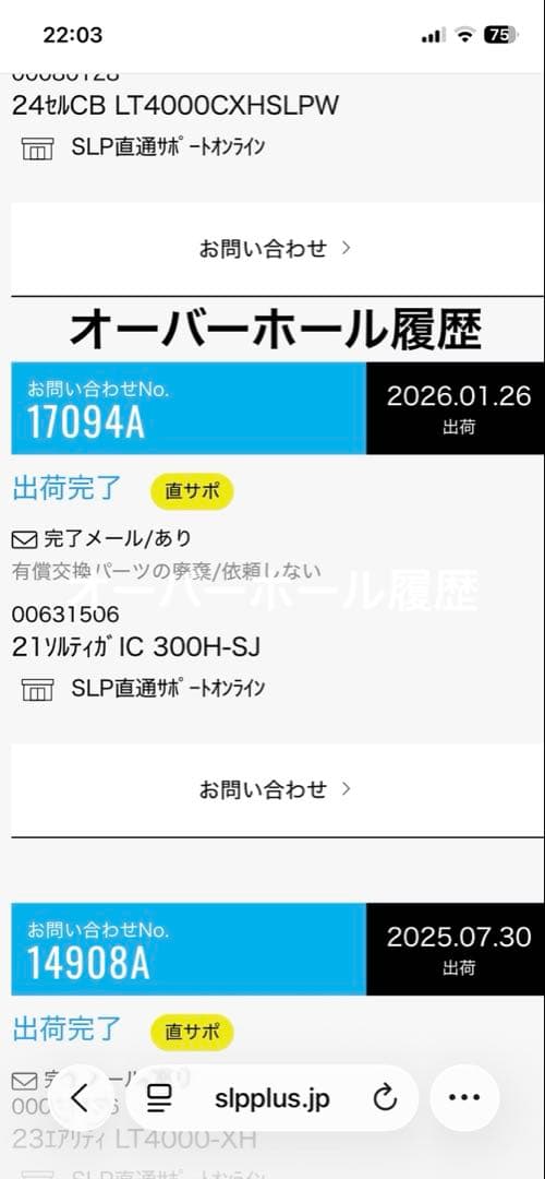 ダイワ　ソルティガIC300H-SJ