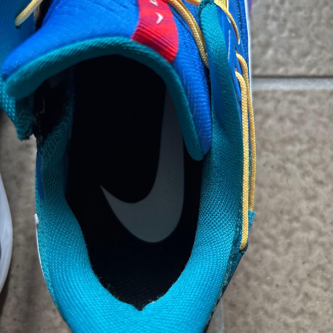 NIKE AIR ZOOM Pegasus 38 箱付き