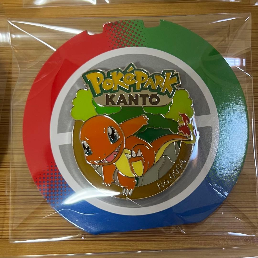 ポケパーク カントー 限定 ピンバッジ 13点