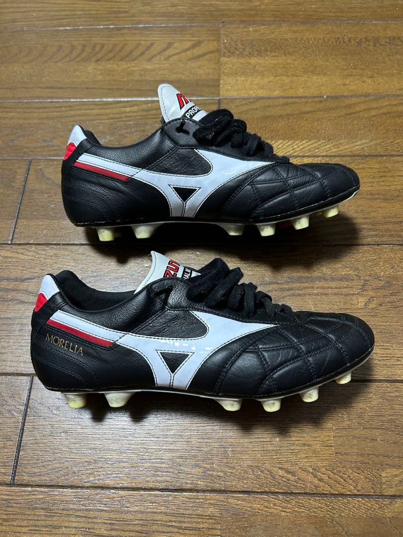 モレリア2 japan クロスステッチ 24.5
