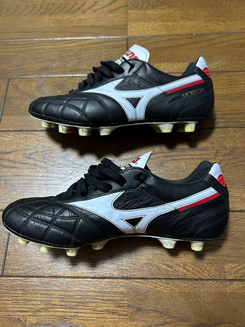 モレリア2 japan クロスステッチ 24.5