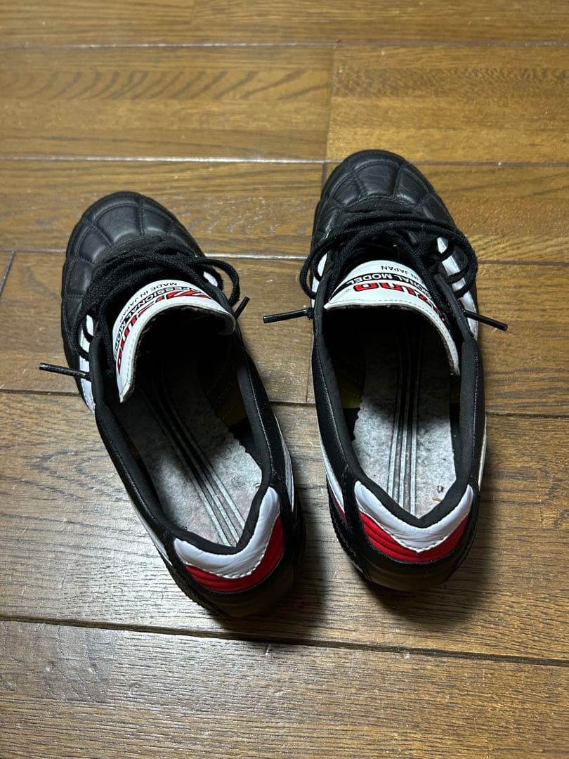 モレリア2 japan クロスステッチ 24.5