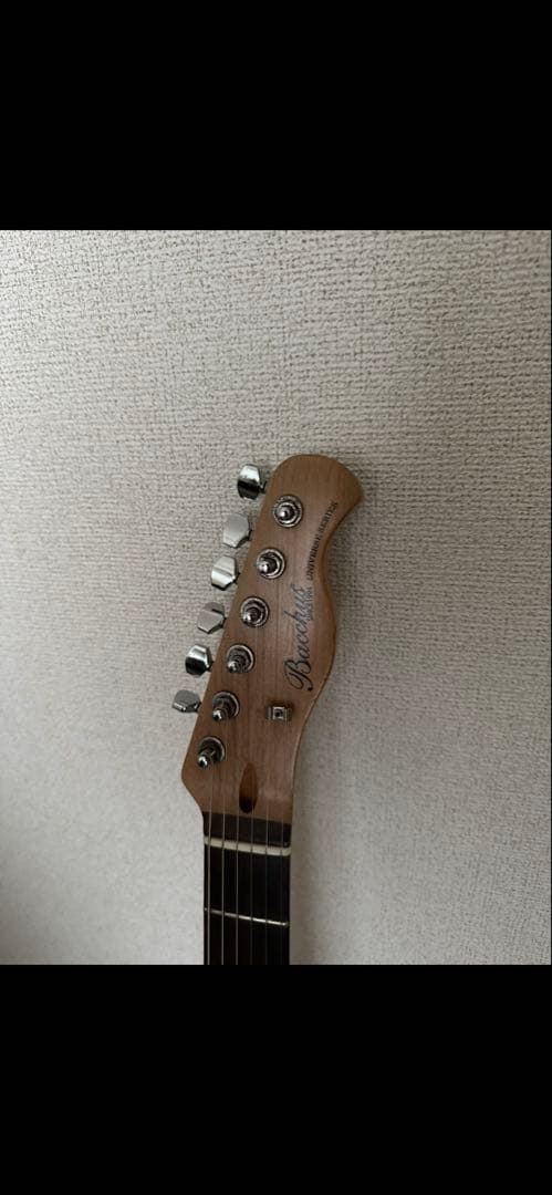 bacchus btc-1r LPB テレキャスター