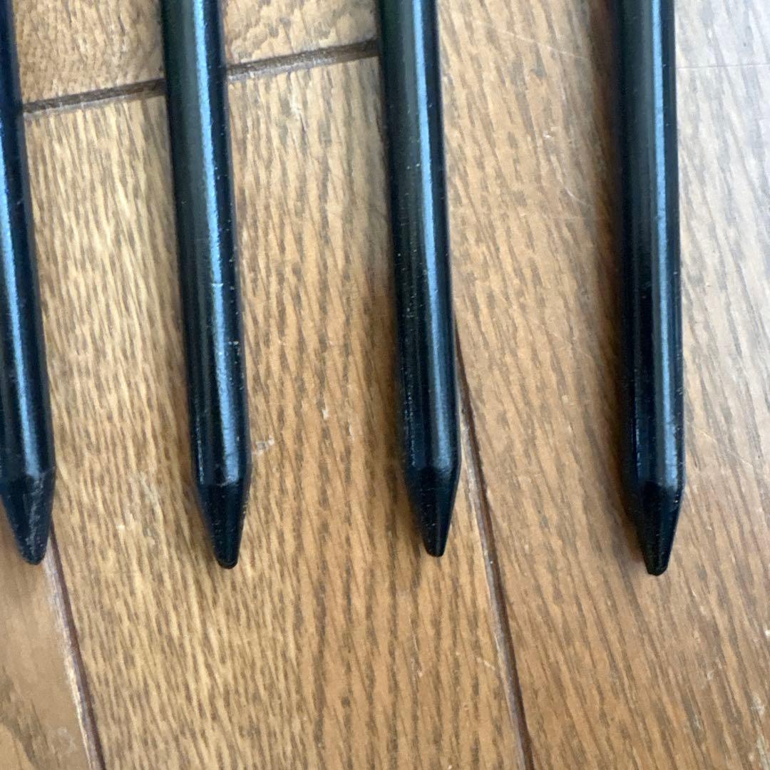スノーピーク　ペグ9本セット　40cm