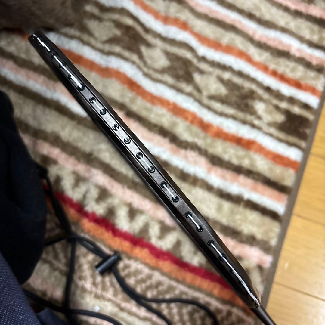 GOSEN インフェルノスマートプラスコア　4UG6 バドミントンラケット