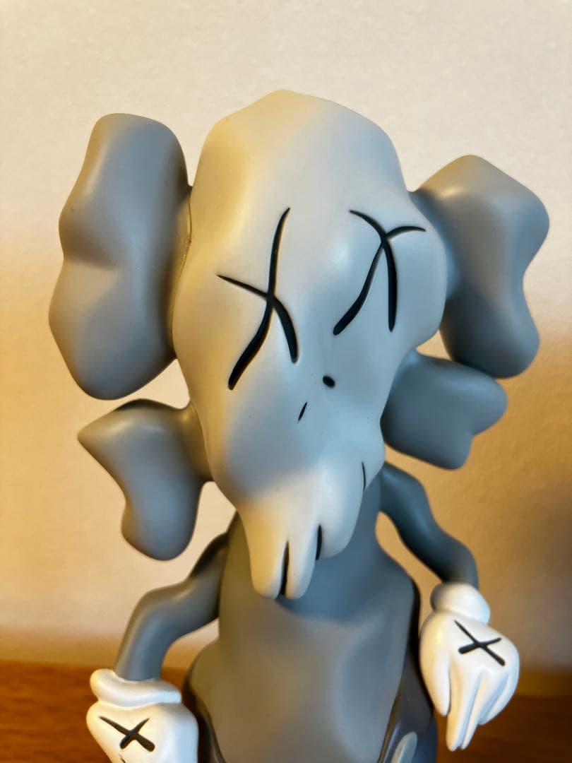 その他 KAWS COMPANION x Robert Lazzarini