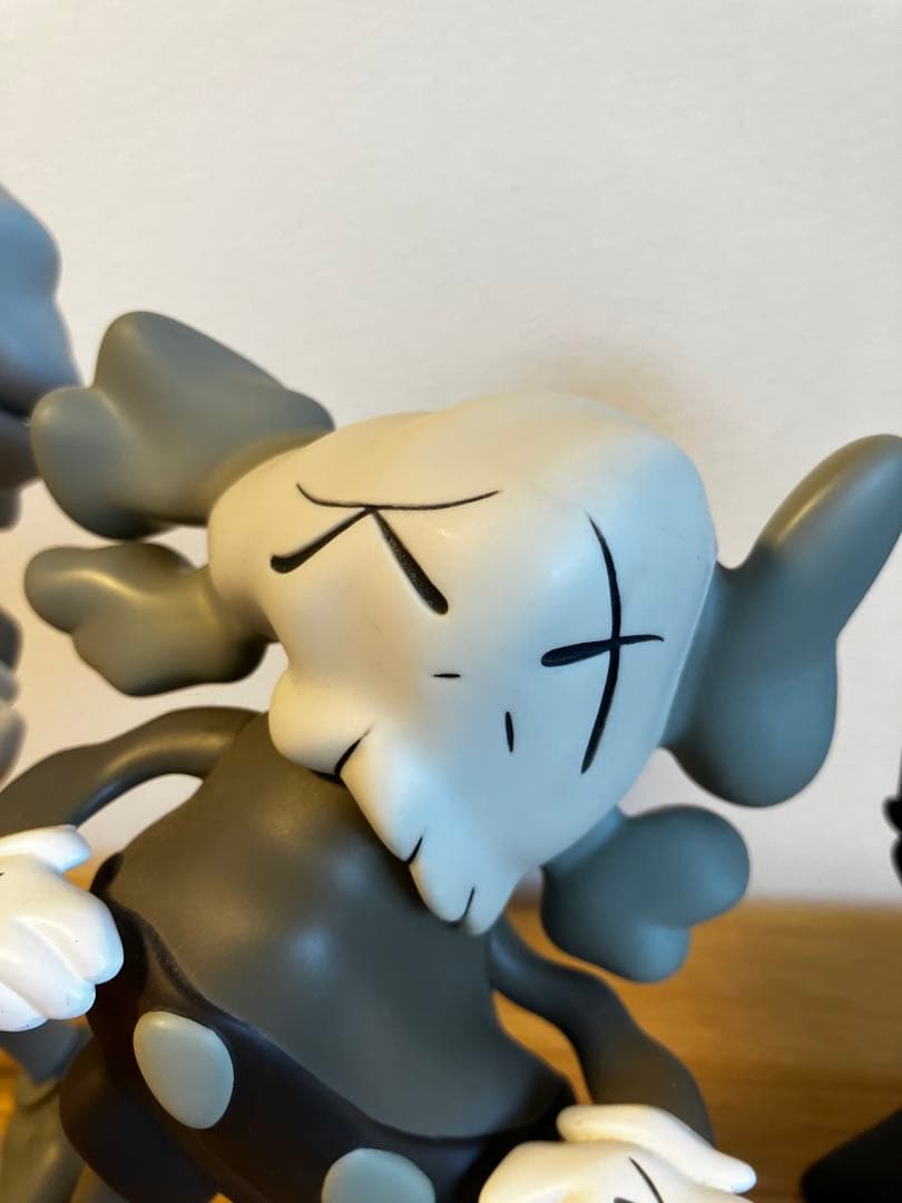 その他 KAWS COMPANION x Robert Lazzarini