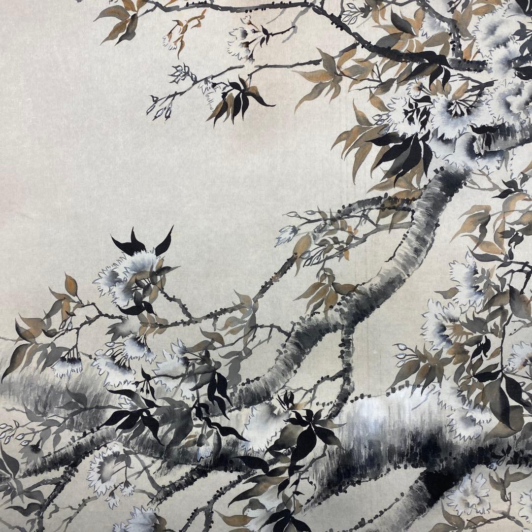美品 掛け軸 杉浦契雪作 大幅 夜桜図 共箱 水墨画 縁起物