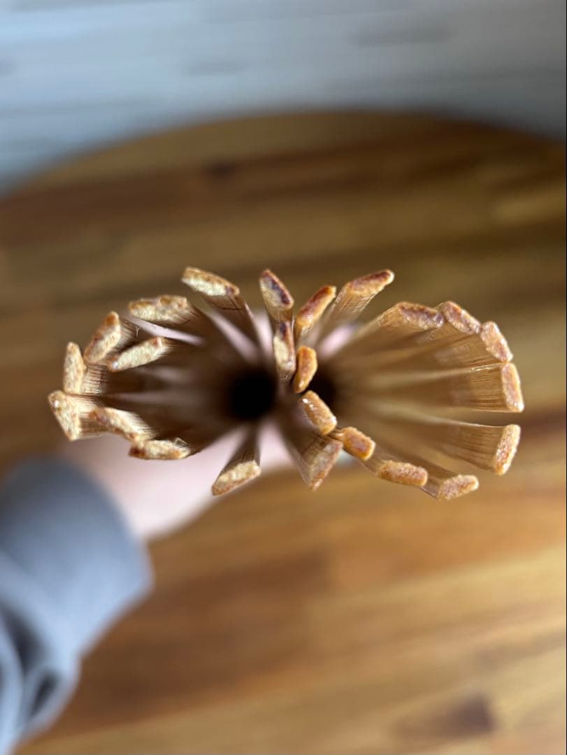 プイリ フラダンス楽器　新品未使用