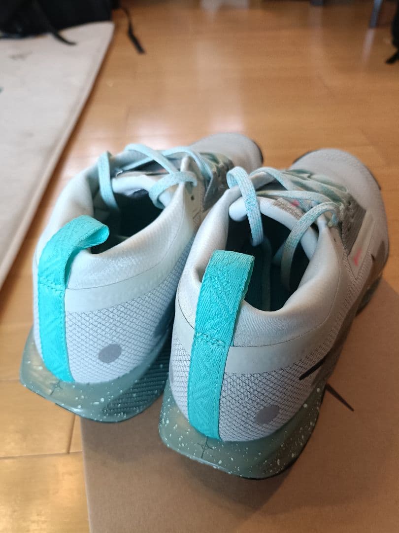 スパイク・シューズ NIKE PEGASUS TRAIL 5 GTX
