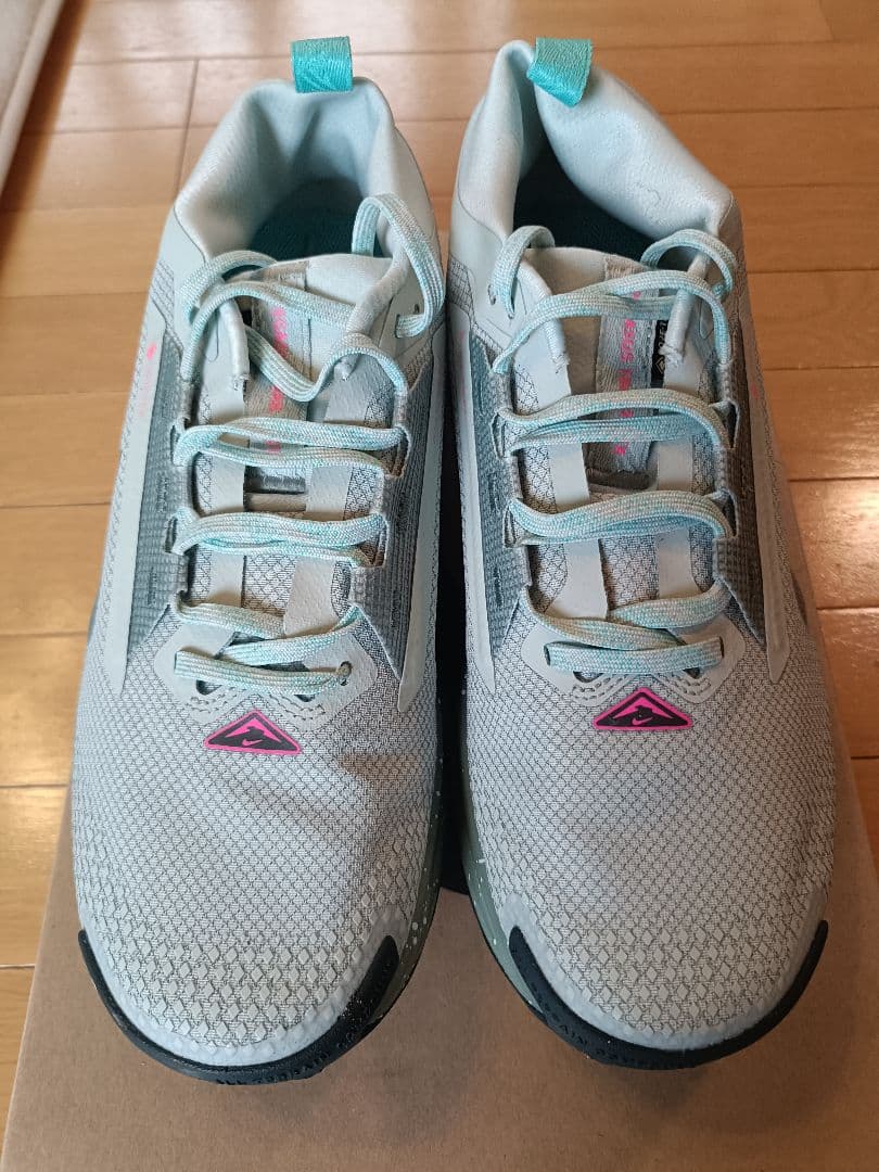 スパイク・シューズ NIKE PEGASUS TRAIL 5 GTX