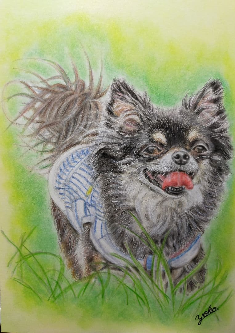専用　色鉛筆画　絵画　原画　オーダーページです