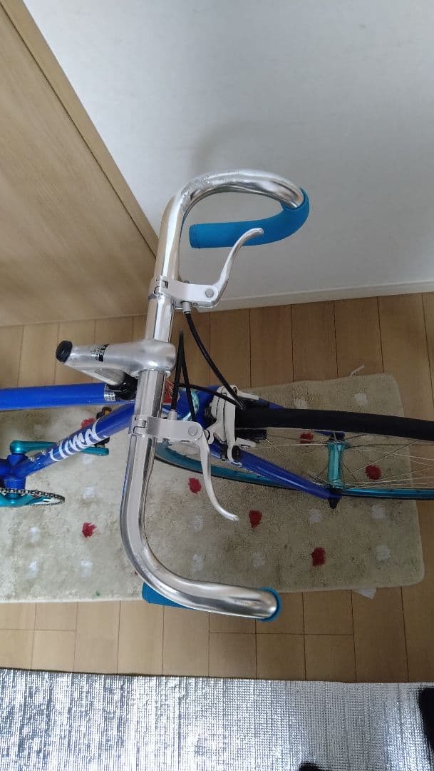クロモリバイクPowered by Ford 54サイズ