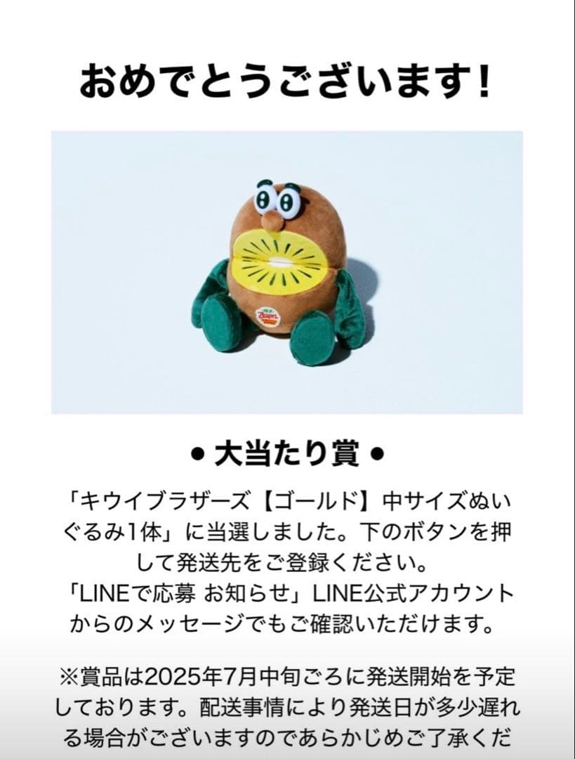 キウイ　ゼスプリ　当選品　未使用品