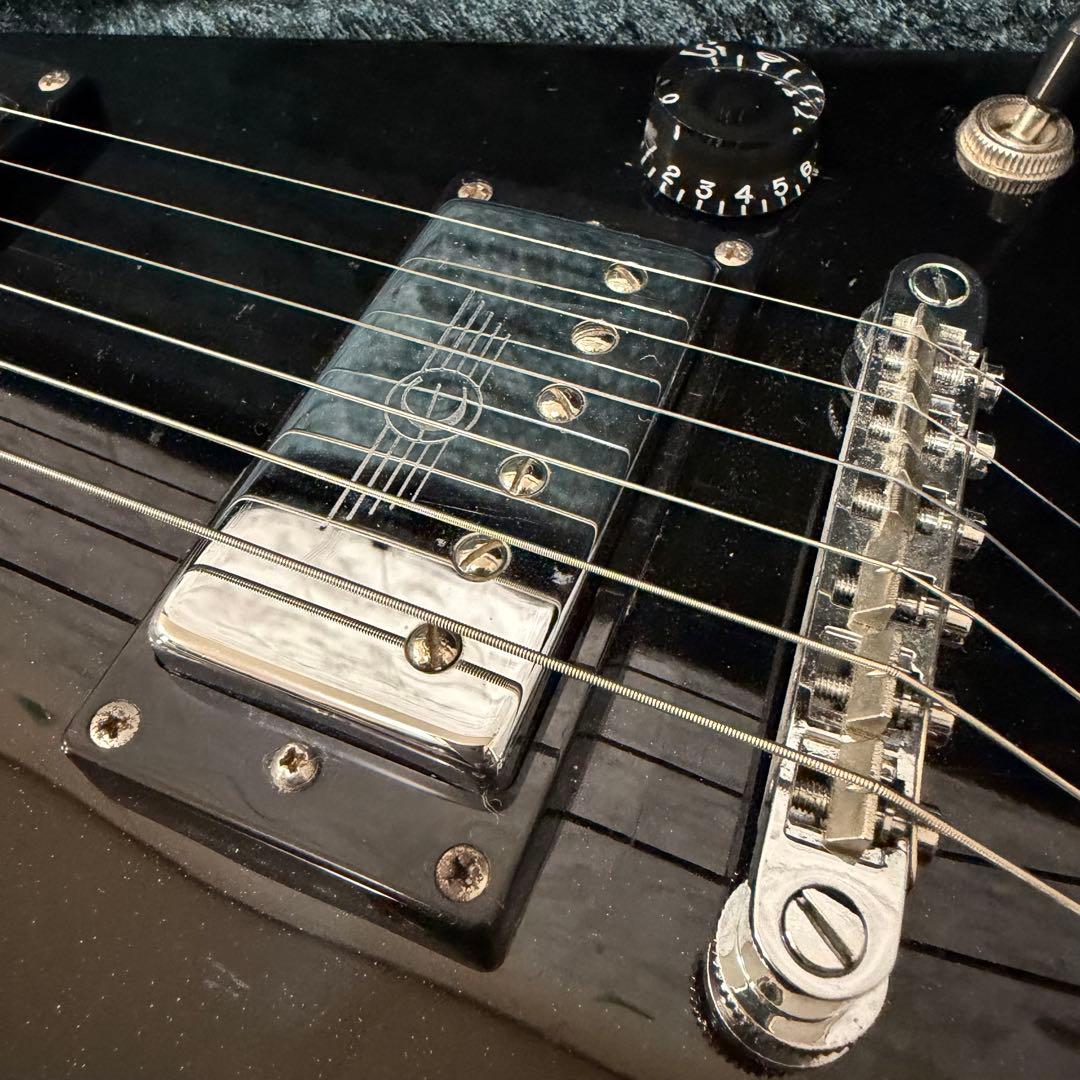 希少　EPIPHONE エピフォン　ランディV 変形　ハードケース付き