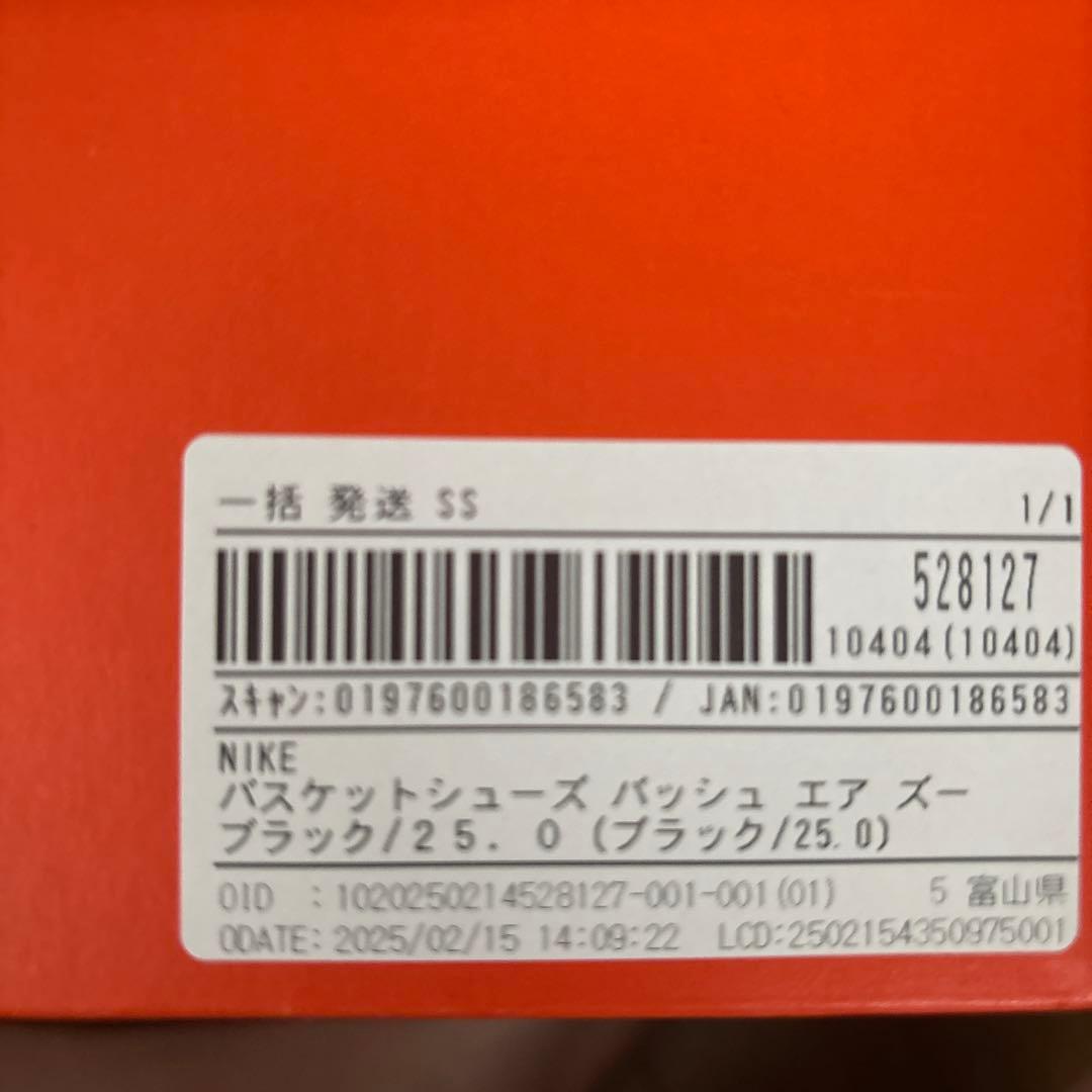 Nike Academy バスケットボールシューズ