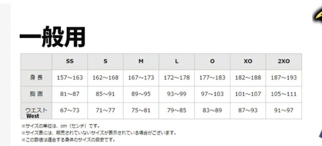 MIZUNO PRO ミズノプロ　ウェア