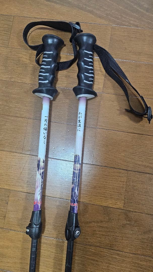【激レア・限定品】シナノ スキーポール 北斗の拳 ラオウ 伸縮カーボンストック