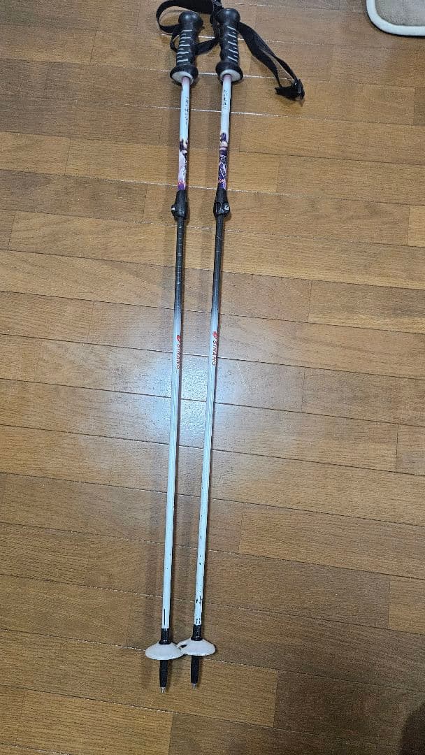 【激レア・限定品】シナノ スキーポール 北斗の拳 ラオウ 伸縮カーボンストック